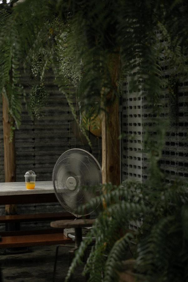 Baannokhook Home&cafe 3* Сураттхани