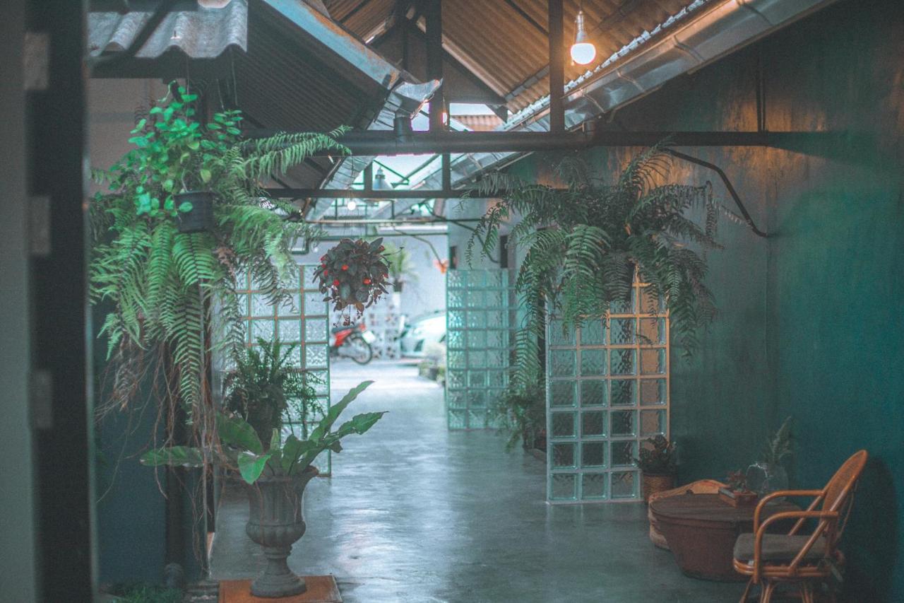 Baannokhook Home&cafe Surat Thani