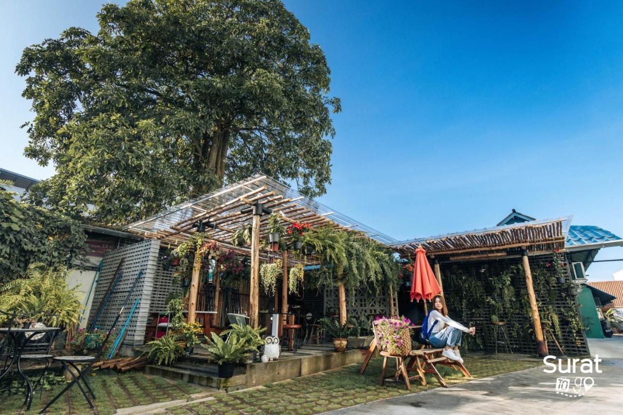 Hotel Baannokhook Home&cafe Surat Thani
