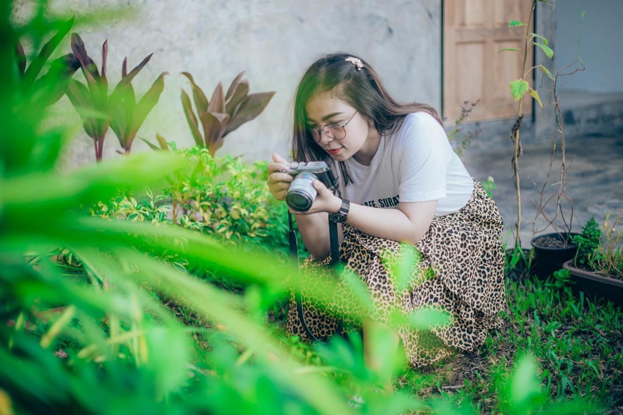 Baannokhook Home&cafe 3* Surat Thani
